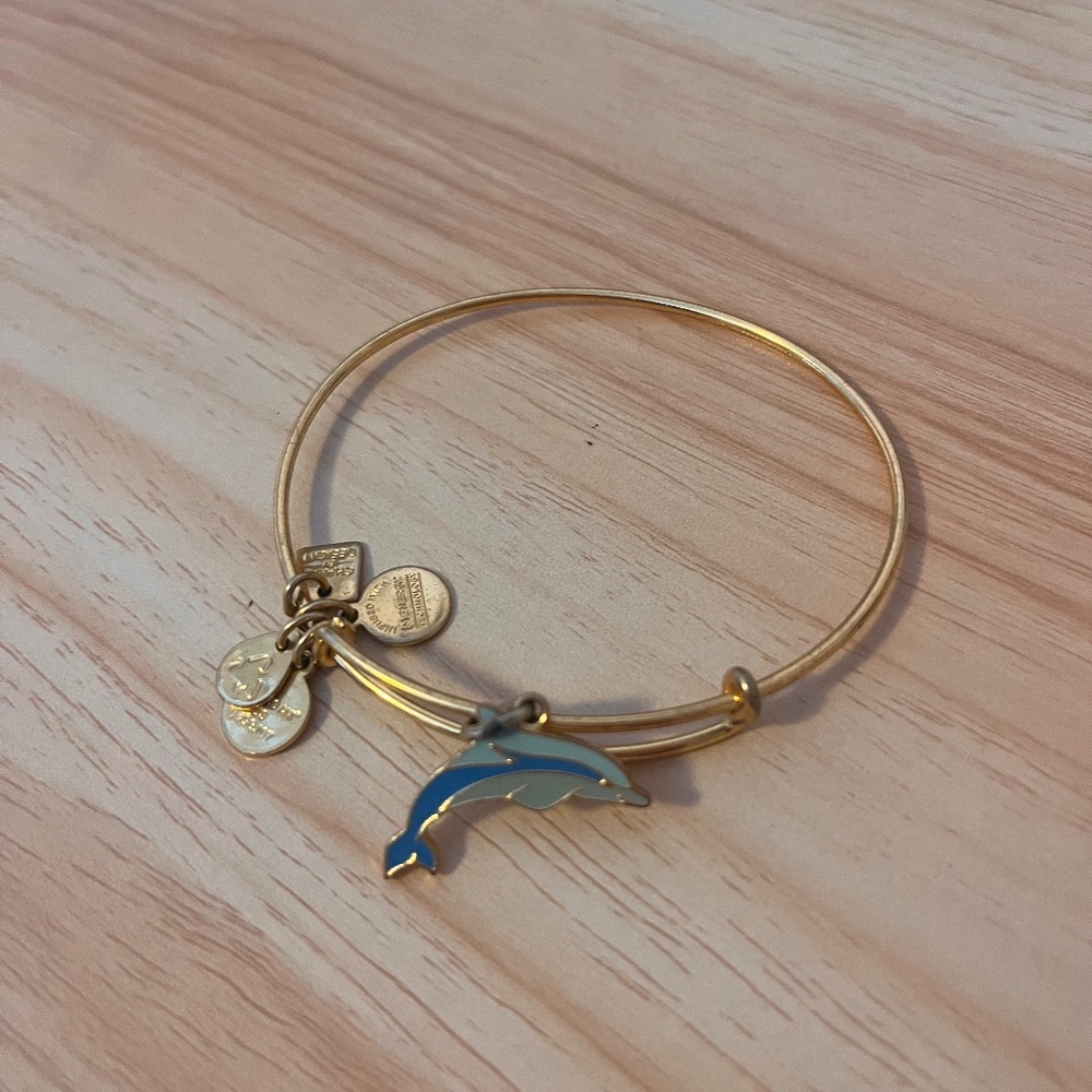 Used Alex and Ani